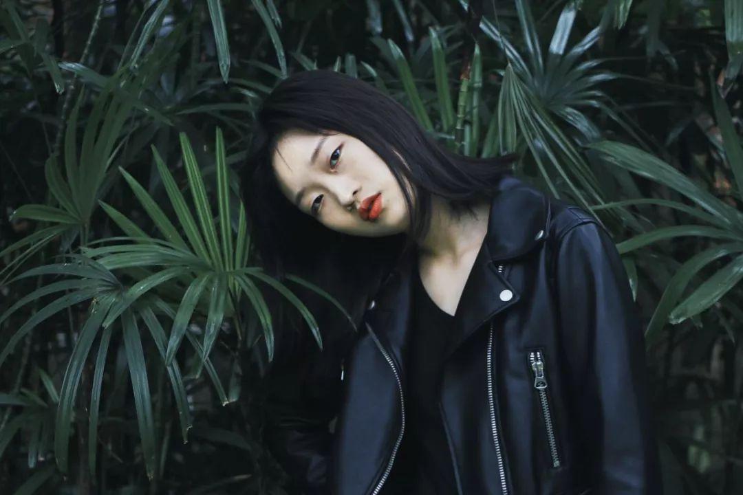小猫钓鱼游戏龙王版有船